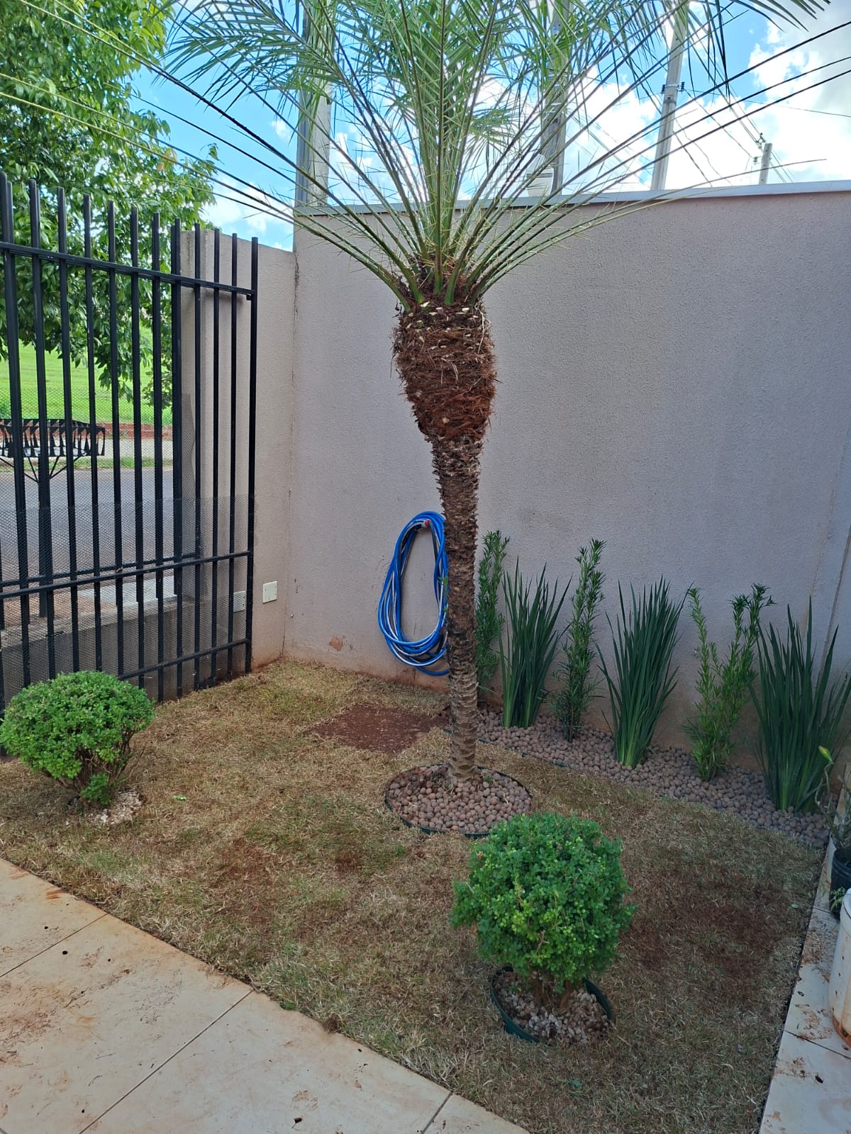 Jardim residencial com arbustos